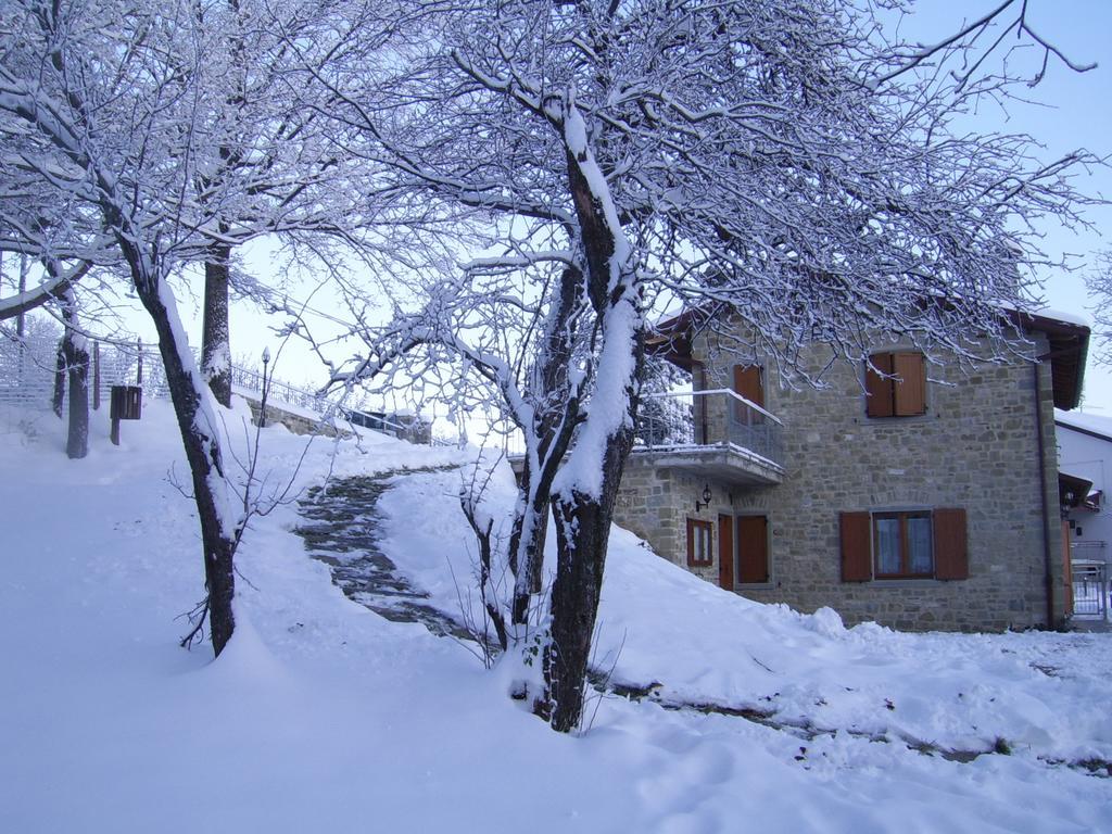 Agriturismo Il Falco del Monte Fumaiolo Alfero Esterno foto