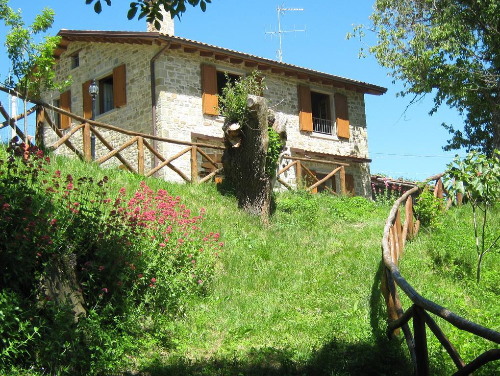 Agriturismo Il Falco del Monte Fumaiolo Alfero Esterno foto