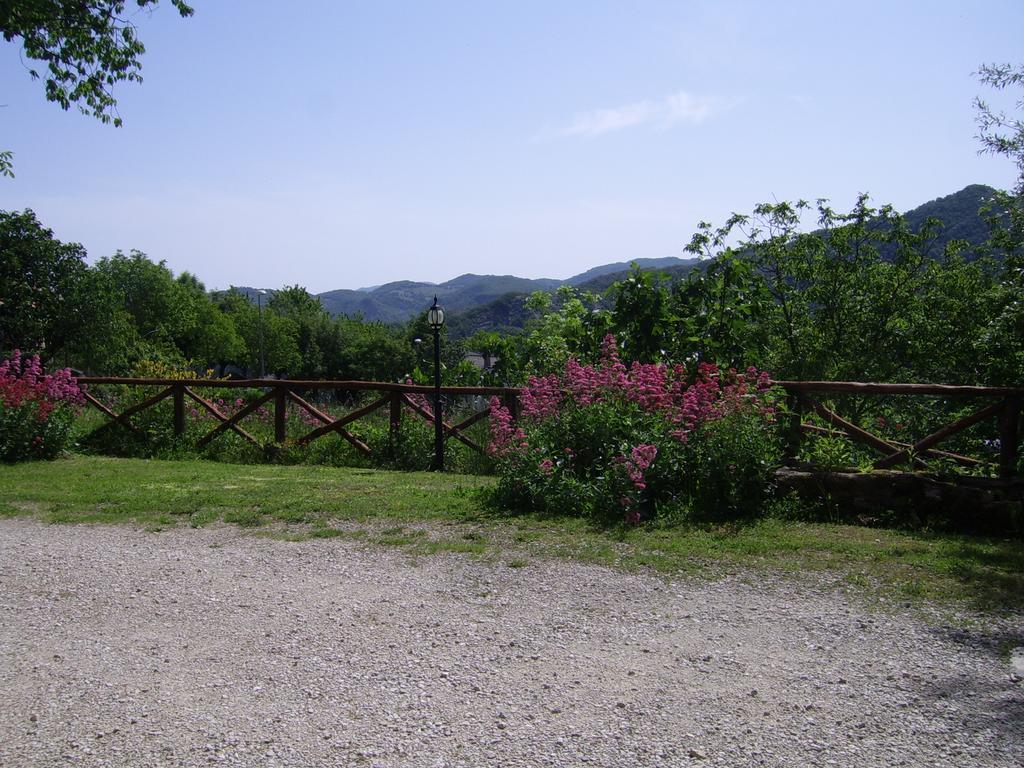 Agriturismo Il Falco del Monte Fumaiolo Alfero Esterno foto