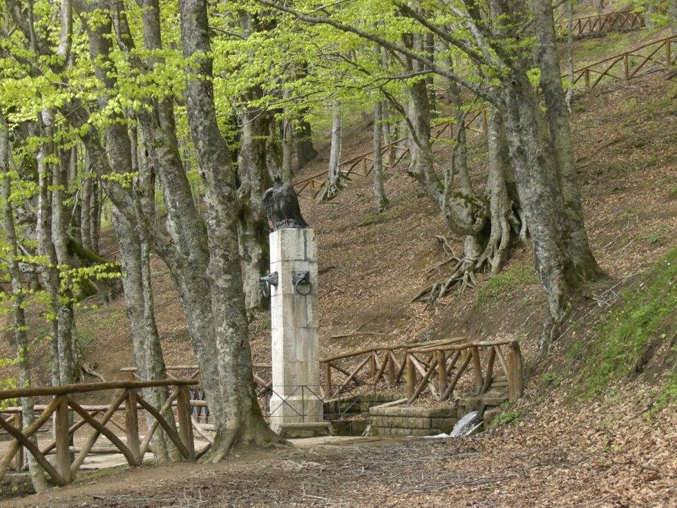 Agriturismo Il Falco del Monte Fumaiolo Alfero Esterno foto