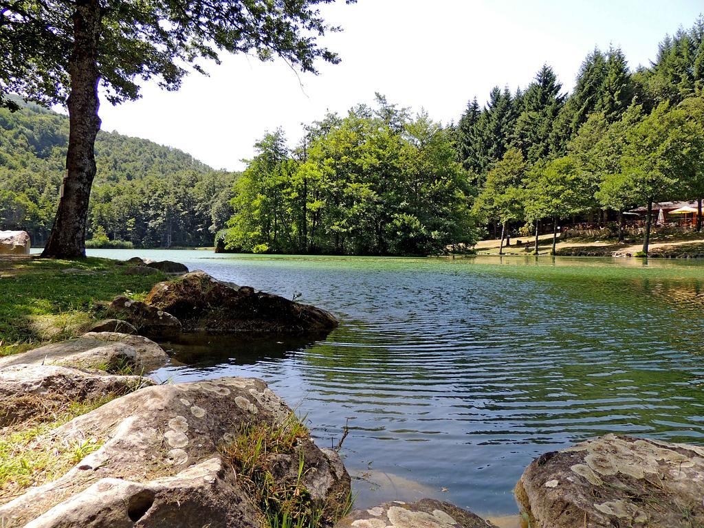 Agriturismo Il Falco del Monte Fumaiolo Alfero Esterno foto